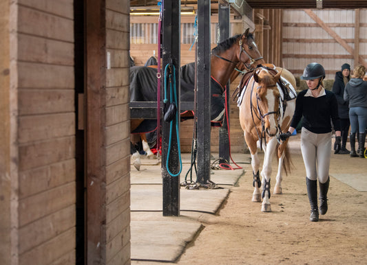 Leading a horse